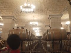 -北京张裕爱斐堡酒庄