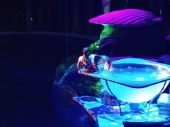 -大连圣亚海洋世界