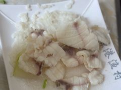 中山脆肉鲩-源港渔村-中山脆肉鲩(博罗店)