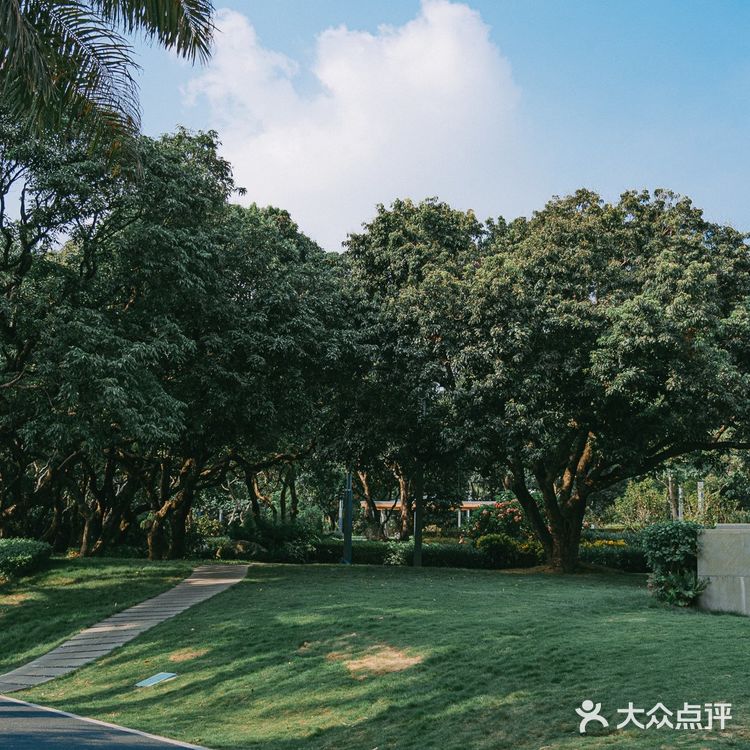 扫街日记📸•深圳蛇口人的青春| 四海公园💚