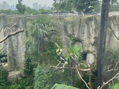 -武汉动物园
