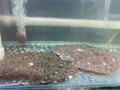 -雅逸居海鲜小厨