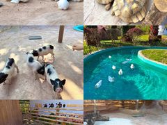 -福州罗源湾海洋世界旅游区