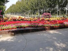 -西青郊野公园