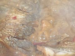 招牌庆岭炖江鲤鱼-庆岭迎宾园正宗活鱼馆