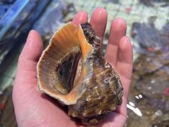 -大锅强·蒸海鲜青岛菜(金沙滩店)