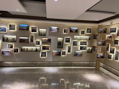 -黄山排云型旅酒店餐厅