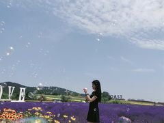 -西海岸生态观光园