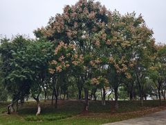 -盘龙城国家考古遗址公园