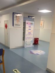 -温州伯思立医院