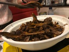 豉油皇炆鸭煲-新绿茵阁茶餐厅(皇朝东南亚花园分店)