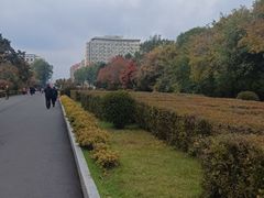 -长春市南湖公园