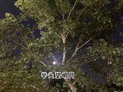 -龙门阵茶屋川菜馆(武康路店)