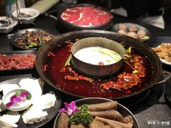 -渝涯重庆豆花老火锅(中赢国际店)