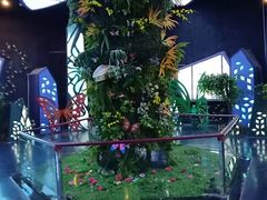 -济南方特东方神画