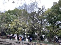 -西园戒幢律寺