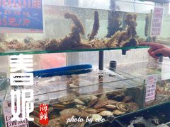 菜单-春妮海味饭店