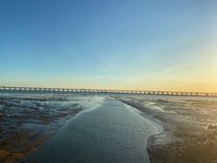 -宝安西湾红树林湿地公园