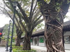 -九龙寨城公园