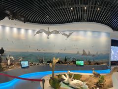 -大连市规划展示中心
