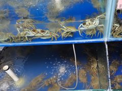 -阳澄湖大闸蟹·琼灵阁牌品牌连锁(吴中总店)