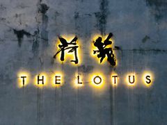 -几荷·恰似故人来(秀水广场店)