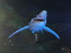 -青岛嘉年华主题乐园