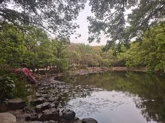 -灵谷景区