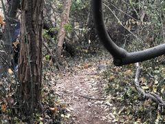 -幕燕滨江·长江观音景区