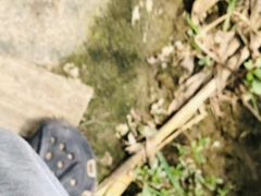 -马陆小张葡萄园农家乐