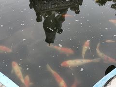 -包公祠