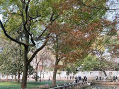 -西园戒幢律寺