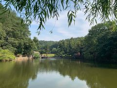 -韶山毛泽东同志故居