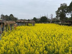 -洪湖家庭农场·团建·露营·会议