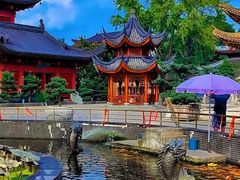 -上海东林寺(金山区)