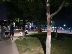 -五环公园
