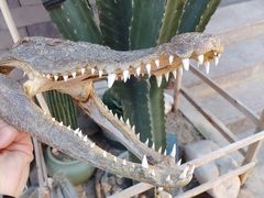 -华声天桥民俗文化园