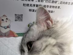 -守诺宠物医院·眼科· 神经外科·爬宠专科(虹口店)