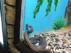 -石家庄市动物园