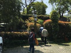 -旅马餐厅(茅家埠店)