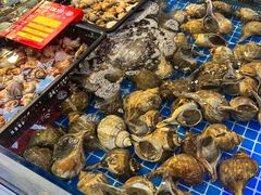 -驻海渔市(置信店)