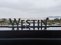 -舟山朱家尖绿城威斯汀度假酒店