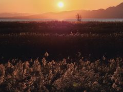 -野鸭湖国家湿地公园