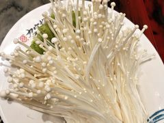 -九宫格重庆火锅(北国商城店)
