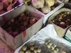 -中环花鸟鱼虫市场