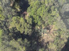 -汕尾铜鼎山旅游区