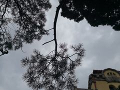-青岛德国总督楼旧址博物馆