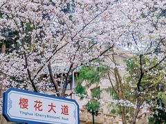 -武汉大学-樱园