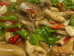 -山大王菌莊