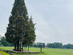 -中国天府农业博览园